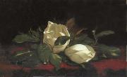 Martin Johnson Heade, Magnolia Buds